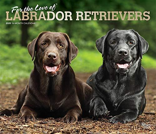 Labrador Retriever – For the love of 2020 - 16-Monatskalender mit freier DogDays-App: Original BrownTrout-Kalender - Deluxe [Mehrsprachig] [Kalender] (Deluxe-Kalender)