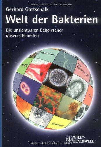 Welt der Bakterien: Die unsichtbaren Beherrscher unseres Planeten