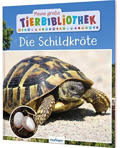 Meine große Tierbibliothek: Die Schildkröte: Sachbuch für Vorschule & Grundschule