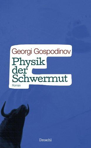 Physik der Schwermut: Roman