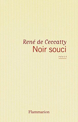 Noir souci : récit