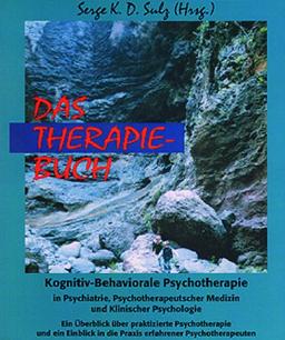 Das Therapiebuch. Erfahrene Psychotherapeuten berichten, wie sie Therapie machen