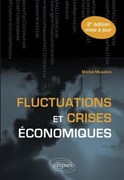 Fluctuations et crises économiques