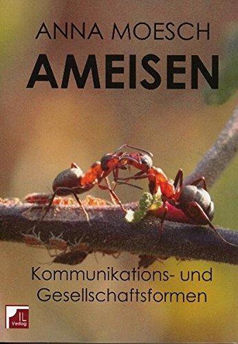 Ameisen. Kommunikations- und Gesellschaftsformen