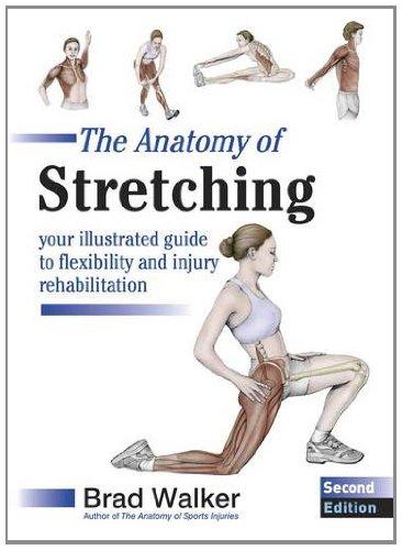 The Anatomy of Stretching