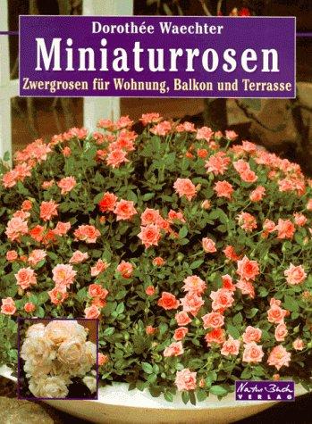 Miniaturrosen. Zwergrosen für Wohnung, Balkon und Terrasse