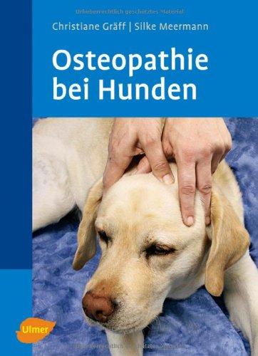 Osteopathie beim Hund