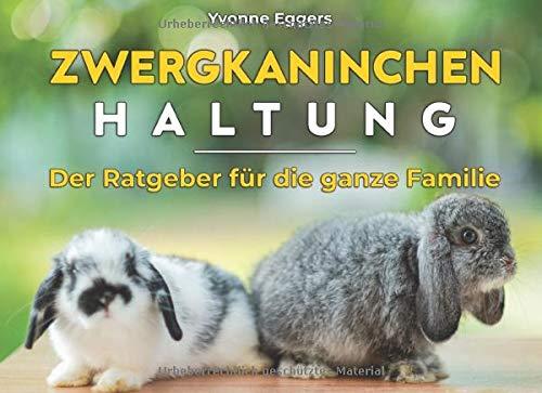 Zwergkaninchen Haltung: Der Ratgeber für die ganze Familie