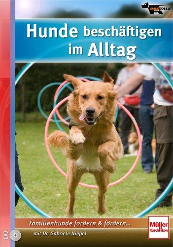 Hunde beschäftigen im Alltag, 1 DVD-Video