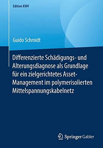 Differenzierte Schädigungs- und Alterungsdiagnose als Grundlage für ein zielgerichtetes Asset-Management im polymerisolierten Mittelspannungskabelnetz (Edition KWV)