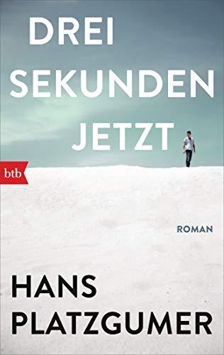 Drei Sekunden Jetzt: Roman