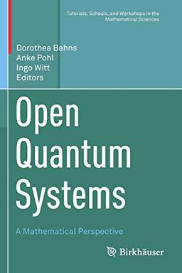 Open Quantum Systems: A Mathematical Perspective (Tutorials, Schools, and Workshops in the Mathematical Sciences)