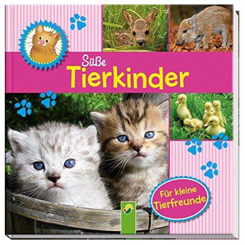 Süße Tierkinder: Fotobilderbuch für kleine Tierfreunde