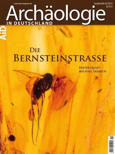 Die Bernsteinstraße: Sonderheft »Archäologie in Deutschland«