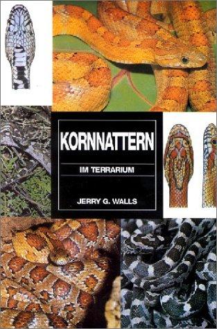 Kornnattern im Terrarium