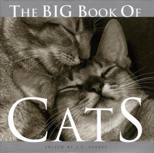 The Big Book of Cats (Big Book of . . . (Welcome Books))