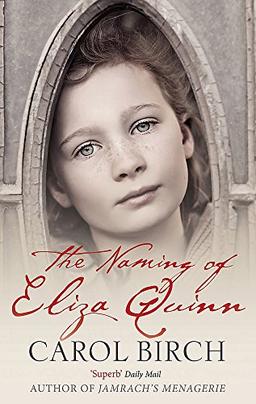 The Naming Of Eliza Quinn