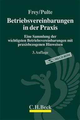 Betriebsvereinbarungen in der Praxis: Eine Sammlung der wichtigsten Betriebsvereinbarungen mit praxisbezogenen Hinweisen