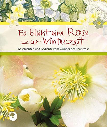 Es blüht eine Rose zur Winterzeit: Geschichten und Gedichte vom Wunder der Christrose (Eschbacher Geschenkbuch)