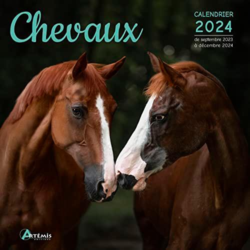 Chevaux : calendrier 2024 : de septembre 2023 à décembre 2024