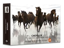 Chevaux : l'agenda-calendrier 2023