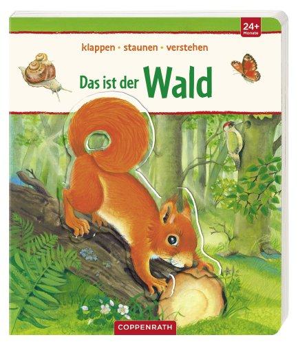 klappen-staunen-verstehen: Das ist der Wald