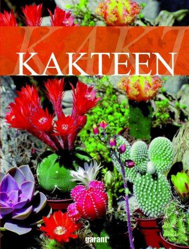 Kakteen