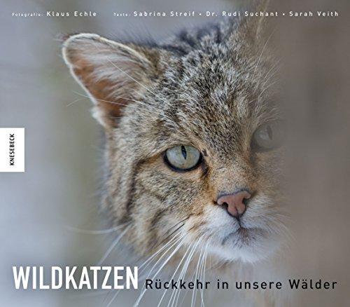 Wildkatzen: Rückkehr in unsere Wälder