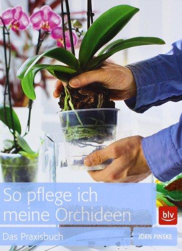 So pflege ich meine Orchideen: Das Praxisbuch