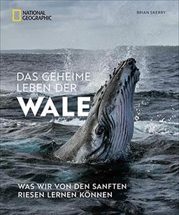 Bildband: Das geheime Leben der Wale. Was wir von den sanften Riesen lernen können. Mit Fotos von preisgekrönten National Geographic Fotografen.