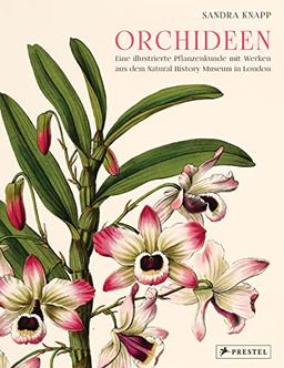 Orchideen: Eine illustrierte Pflanzenkunde mit Werken aus dem Natural History Museum in London