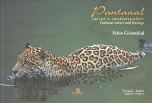 Pantanal - Cores E Sentimentos