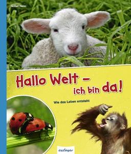 Hallo Welt - ich bin da!: Wie das Leben entsteht