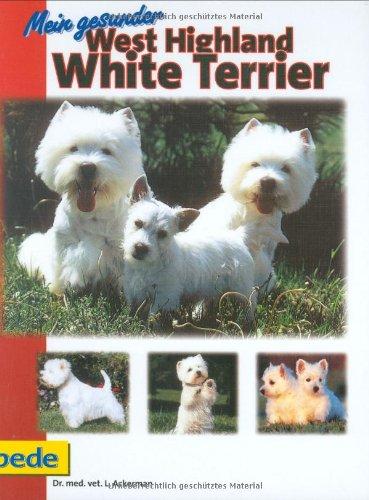 Mein gesunder West Highland White Terrier