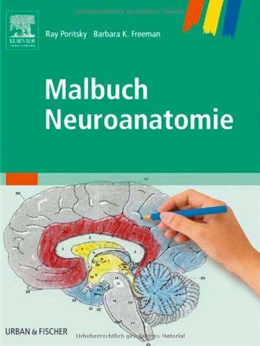 Malbuch Neuroanatomie