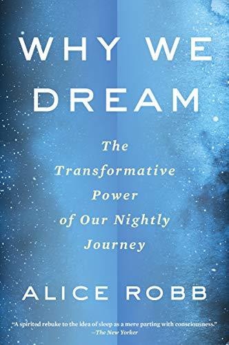 Why We Dream: The Transformative Power of Our Nightly Journey