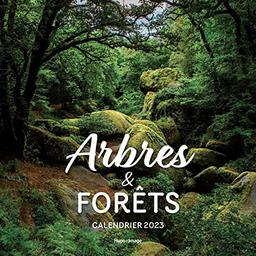 Arbres & forêts : calendrier 2023