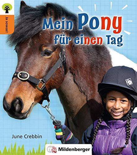 Ja sowas! Mein Pony für einen Tag