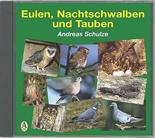 Eulen, Nachtschwalben und Tauben: Mit 32 Vogelarten und 156 Tonaufnahmen