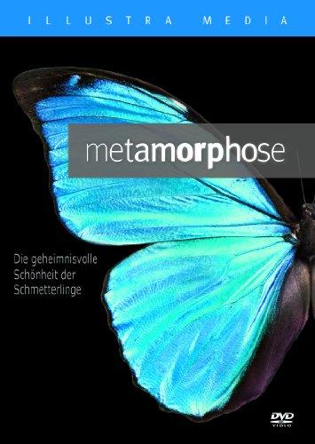 Metamorphose: Die geheimnisvolle Schönheit der Schmetterlinge