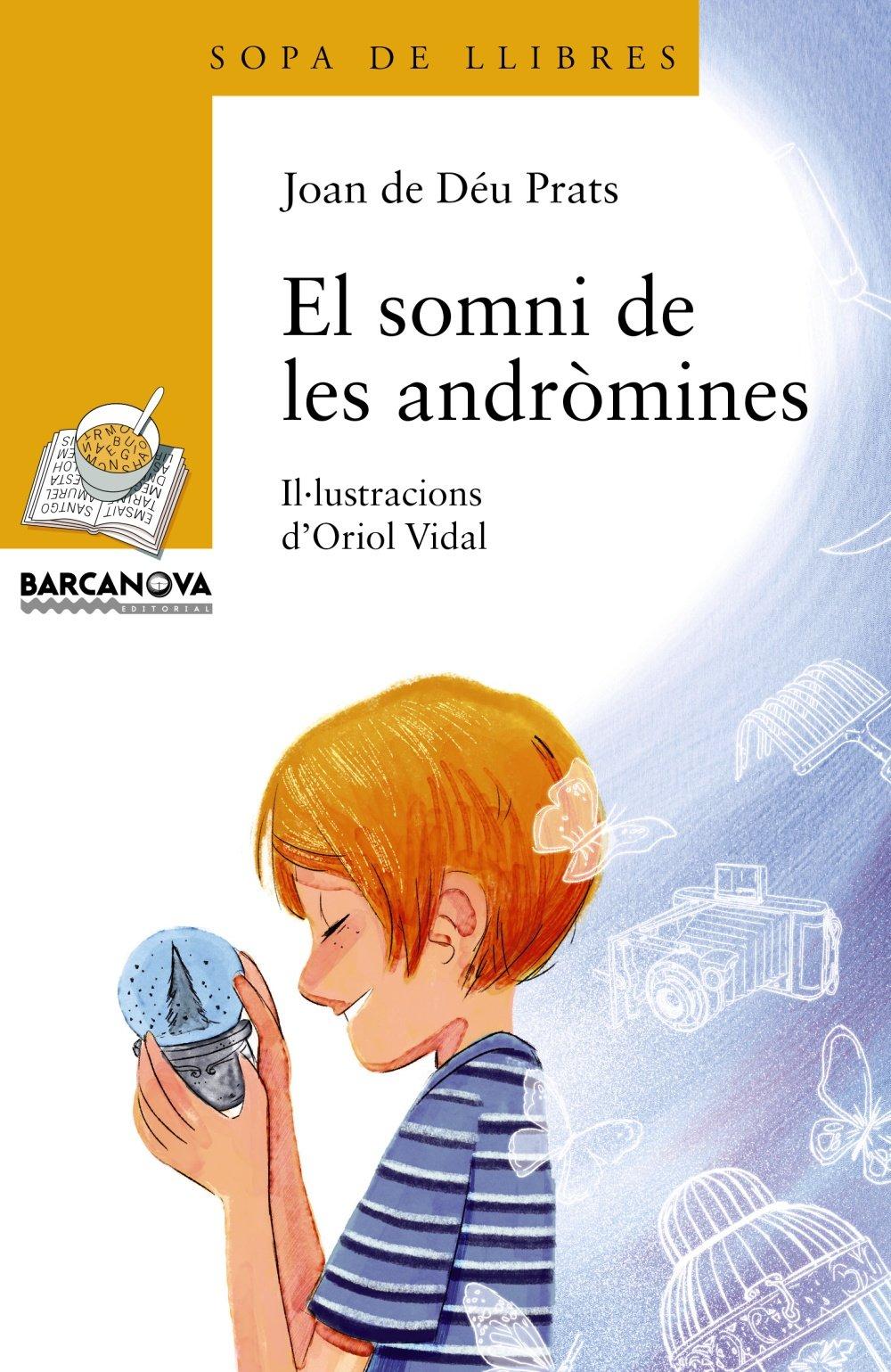 El somni de les andròmines (Llibres infantils i juvenils - Sopa de llibres. Sèrie groga)