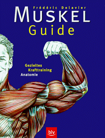 Muskel-Guide: Gezieltes Krafttraining, Anatomie