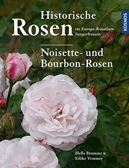 Historische Rosen im Europa Rosarium Sangerhausen: Noisette- und Bourbon-Rosen