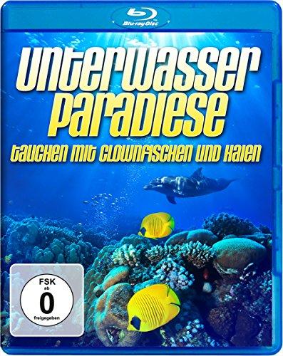 Unterwasser [Blu-ray]