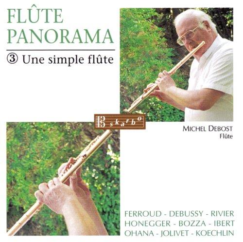 Flute Panorama Vol.3