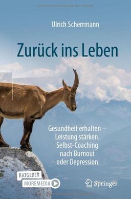 Zurück ins Leben: Gesundheit erhalten – Leistung stärken. Selbst-Coaching nach Burnout oder Depression