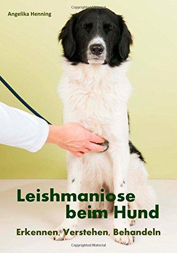 Leishmaniose beim Hund: Erkennen, Verstehen, Behandeln