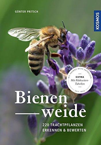 Bienenweide: 220 Trachtpflanzen erkennen und bewerten