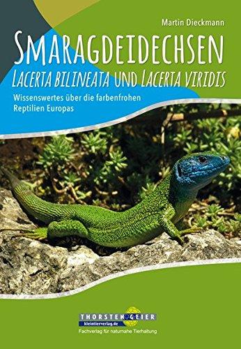 Smaragdeidechsen Lacerta bilineata und Lacerta viridis: Wissenswertes über die farbenfrohen Reptilien Europas