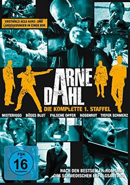 Arne Dahl - Die komplette Staffel 1 [11 DVDs]